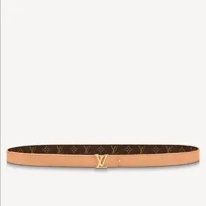 Louis Vuitton | Accessories | Louis Vuitton Reversible Belt  display picture 1